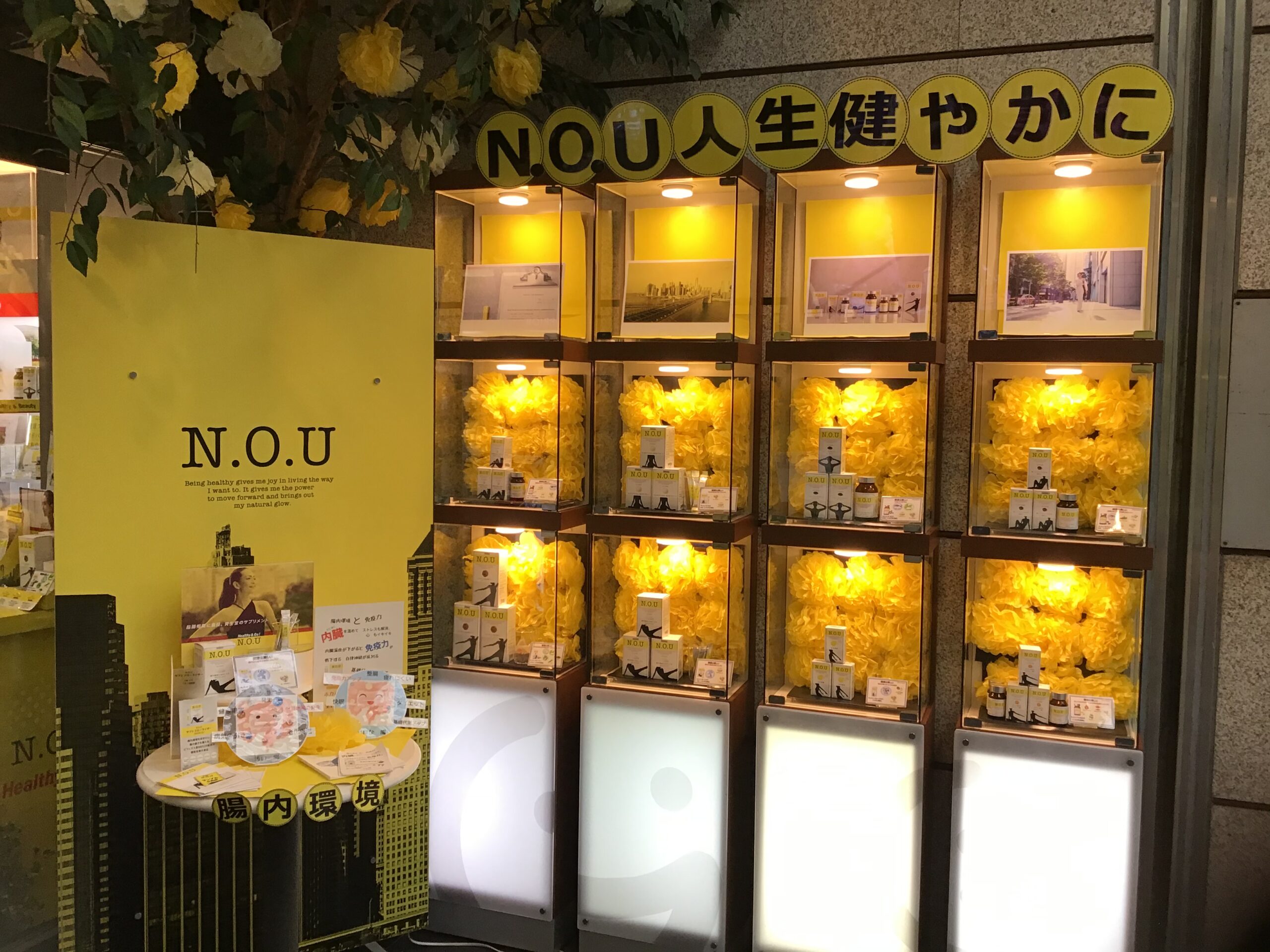 夏の終りの　健康維持に　NOUザサプリ
