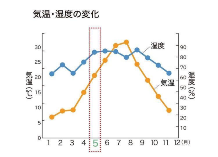 5月の紫外線は油断大敵！！🌞